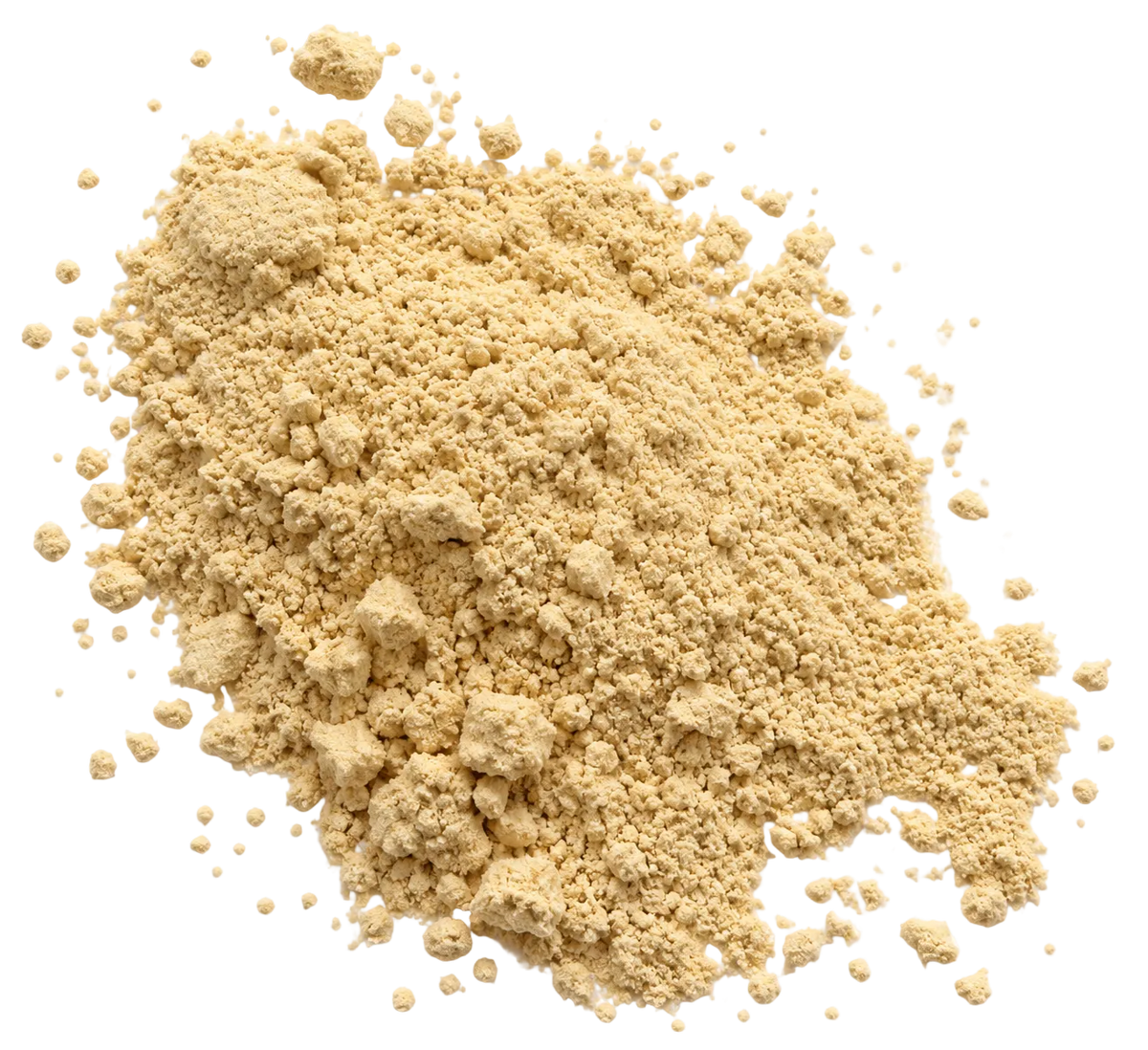 Roast Garlic Powder